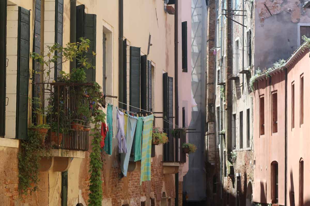 venice neighbourhood washing