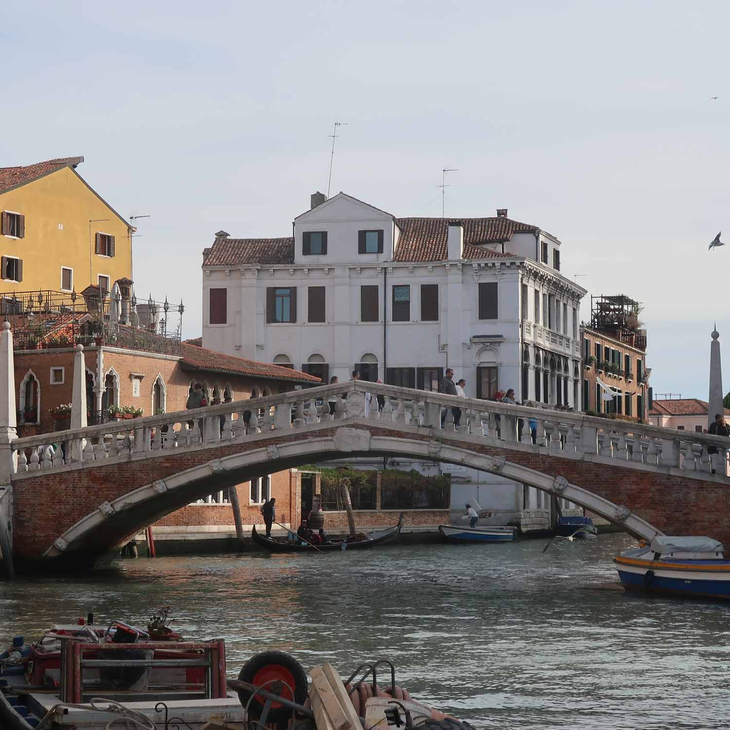 venice private tours