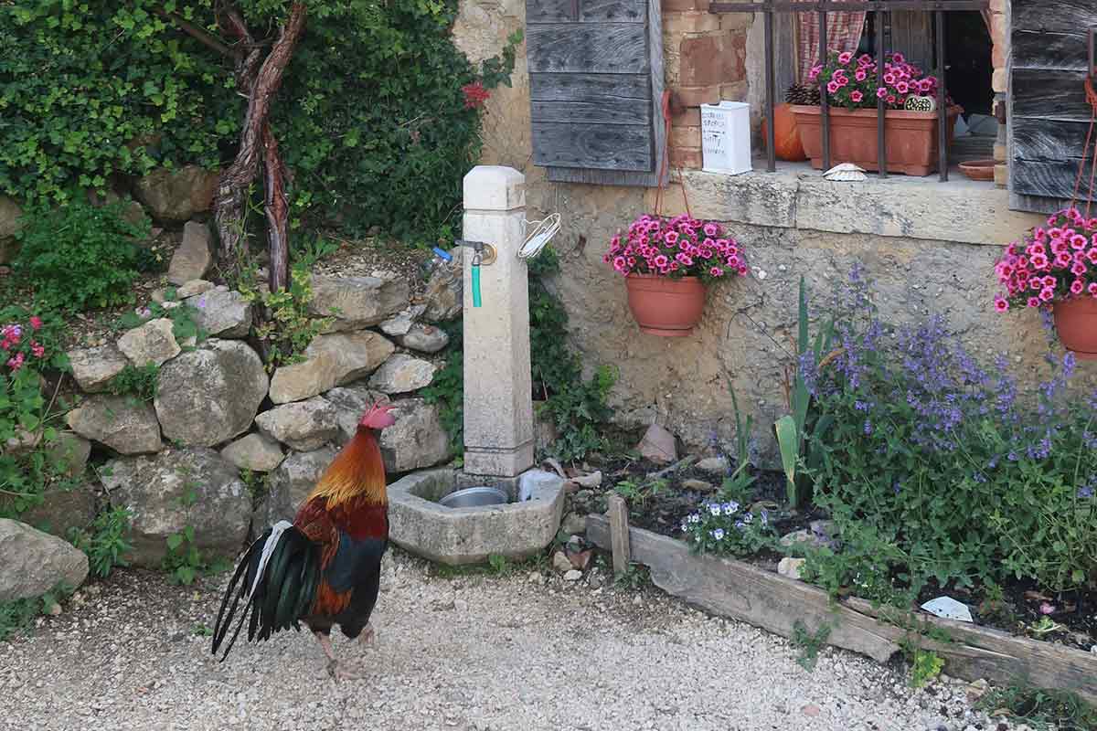 what to eat in the prosecco hills